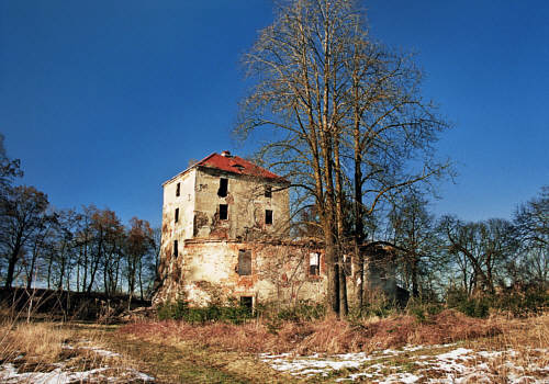 Zamek z pocz. XVI wieku powstały z przekształcenia wieży obronnej z XIV wieku