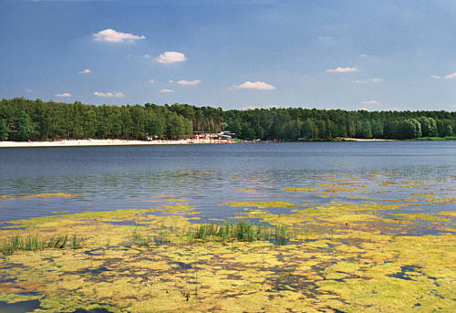 Jezioro Gołuchowskie i widok na plażę