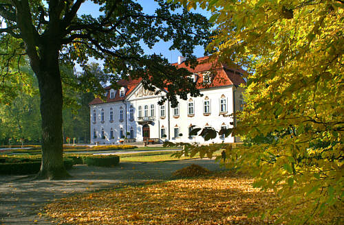 Pałac z końca XVII wieku należący m.in. do rodów: Radziejowskich, Ogińskich, Radziwiłłów