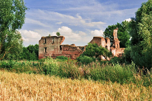 Ruiny zamku szlacheckiego rodu Sokołowskich z przełomu XV i XVI wieku