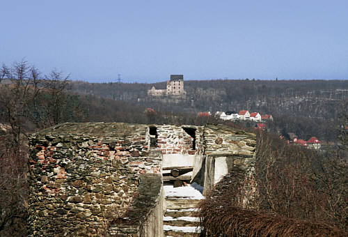 Basteja i pobliski zamek  w Świnach
