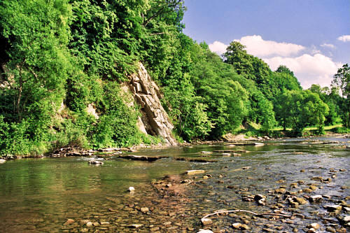 Rzeka Hoczewka i pomnik przyrody 'Progi skalne na Hoczewce'