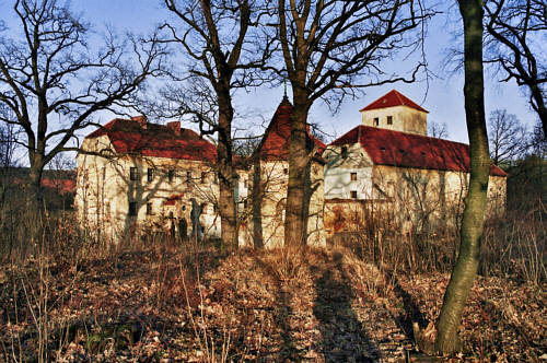 Zamek w Witostowicach - Widok z jednej z bastei ziemnej