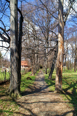 Park w Słocinie