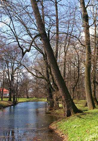 Park ze stawami w Słocinie