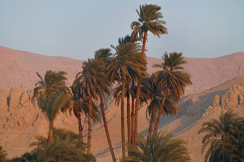 Dolina Nilu zdjęcie nr 2013
