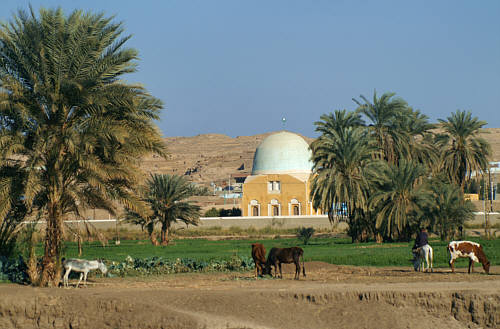 Dolina Nilu zdjęcie nr 2028
