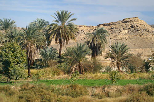 Dolina Nilu zdjęcie nr 2030