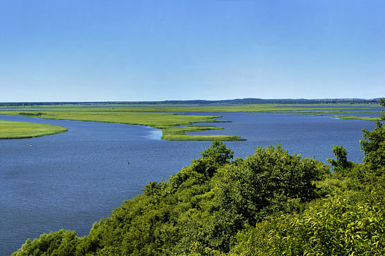 Widok z grodziska na wsteczną deltę Świny
