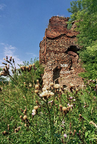Ruiny zamku otoczone są bujną roślinnością 