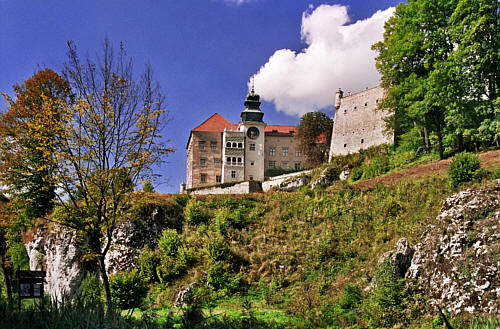 Zamek królewski a później szlachecki (Szafrańców)  z XIV wieku