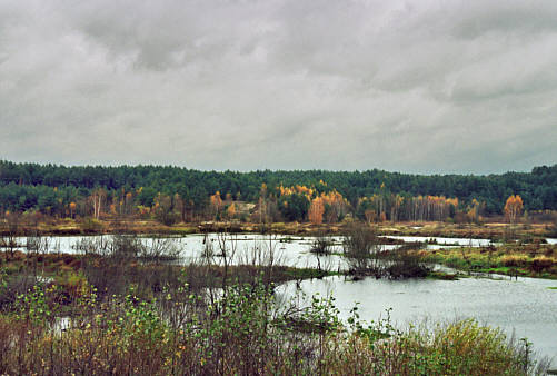 Rzeka Łagowica