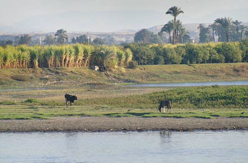 Dolina Nilu zdjęcie nr 1980