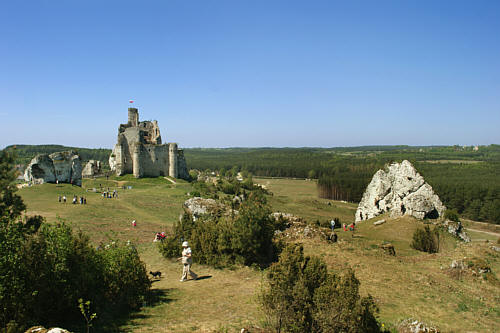 Typowy krajobraz jury krakowsko-częstochowskiej. ze skałkami przy zamku Mirów