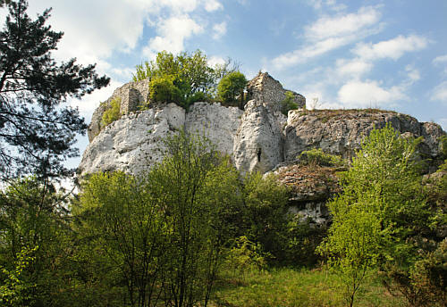 Ryczów - Widok na pozostałości zamku na skale od południowego wschodu