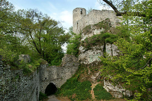 Gotycki zamek rycerski z XIV wieku. Widok na zamek górny i bramę na zamku dolnym wschodnim 