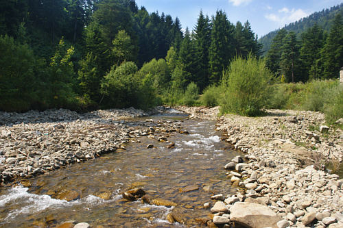 Ponownie rzeka Czercz, ale nieco dalej - w przysiółku Kosarzyska