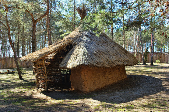 Rekonstrukcja prehistorycznej osady