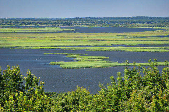 Wsteczna delta Świny z punktu widokowego na Wzgórzu Zielonka